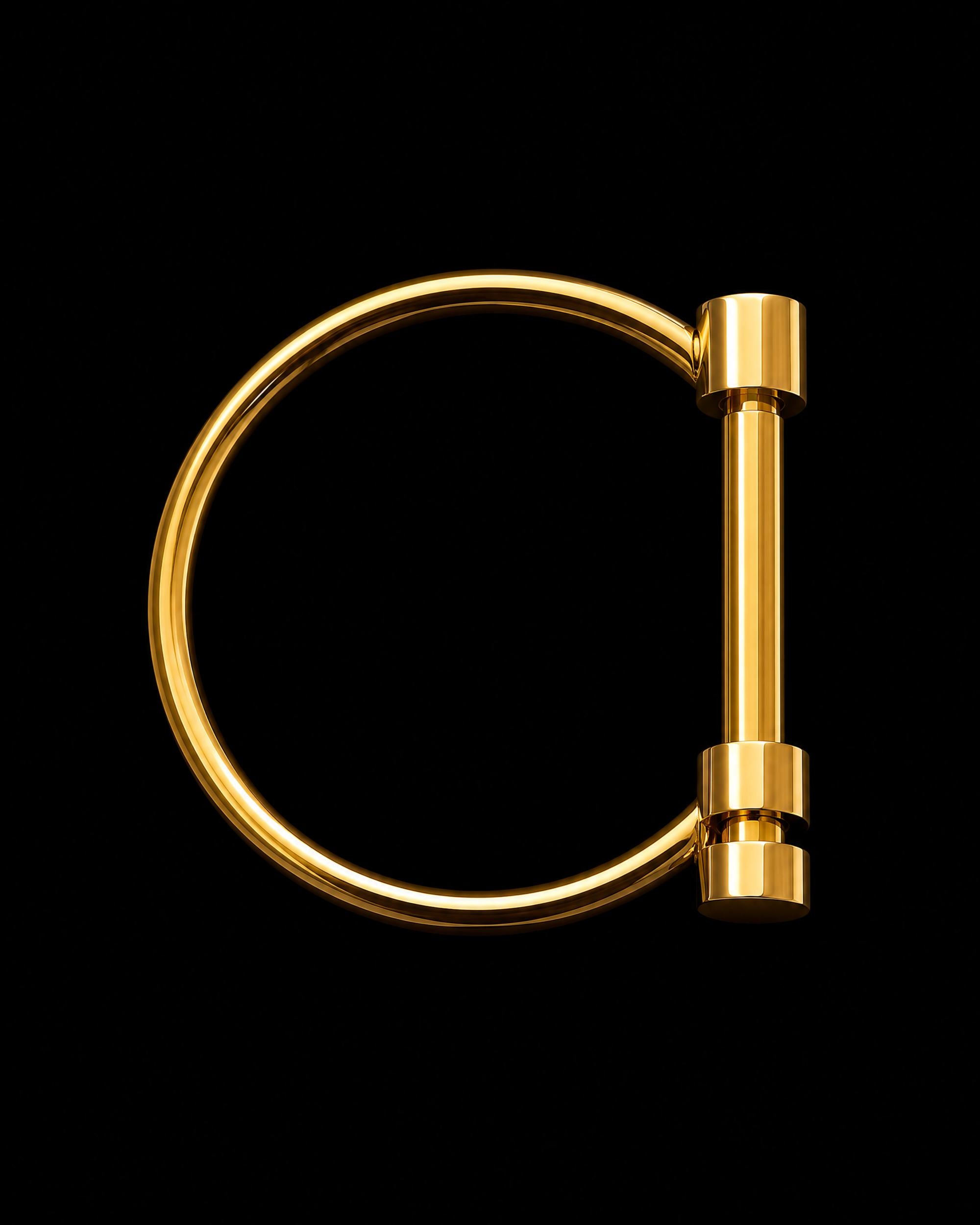 A polished gold metal wall ring with a vertical bar and cylindrical end caps, shown against a solid black background.