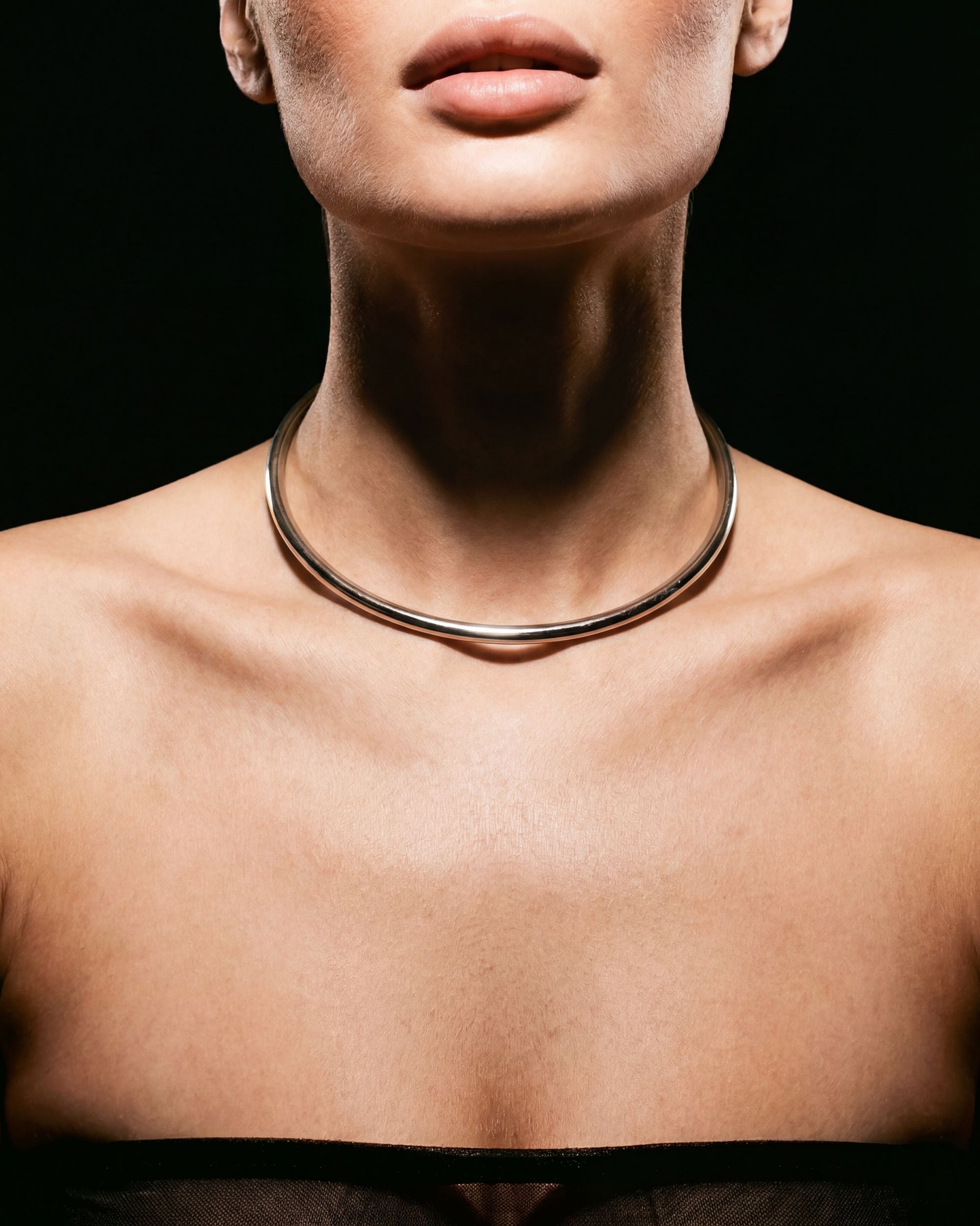 Arc Torque Collar Necklace, Stainless Steel