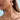 Coastal Conch Shell Stud Earrings